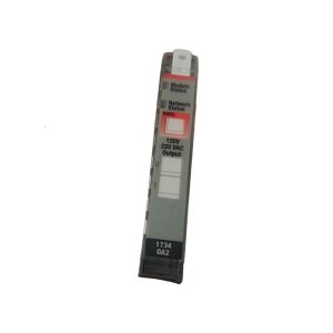 1734-OA2 Point I/O module